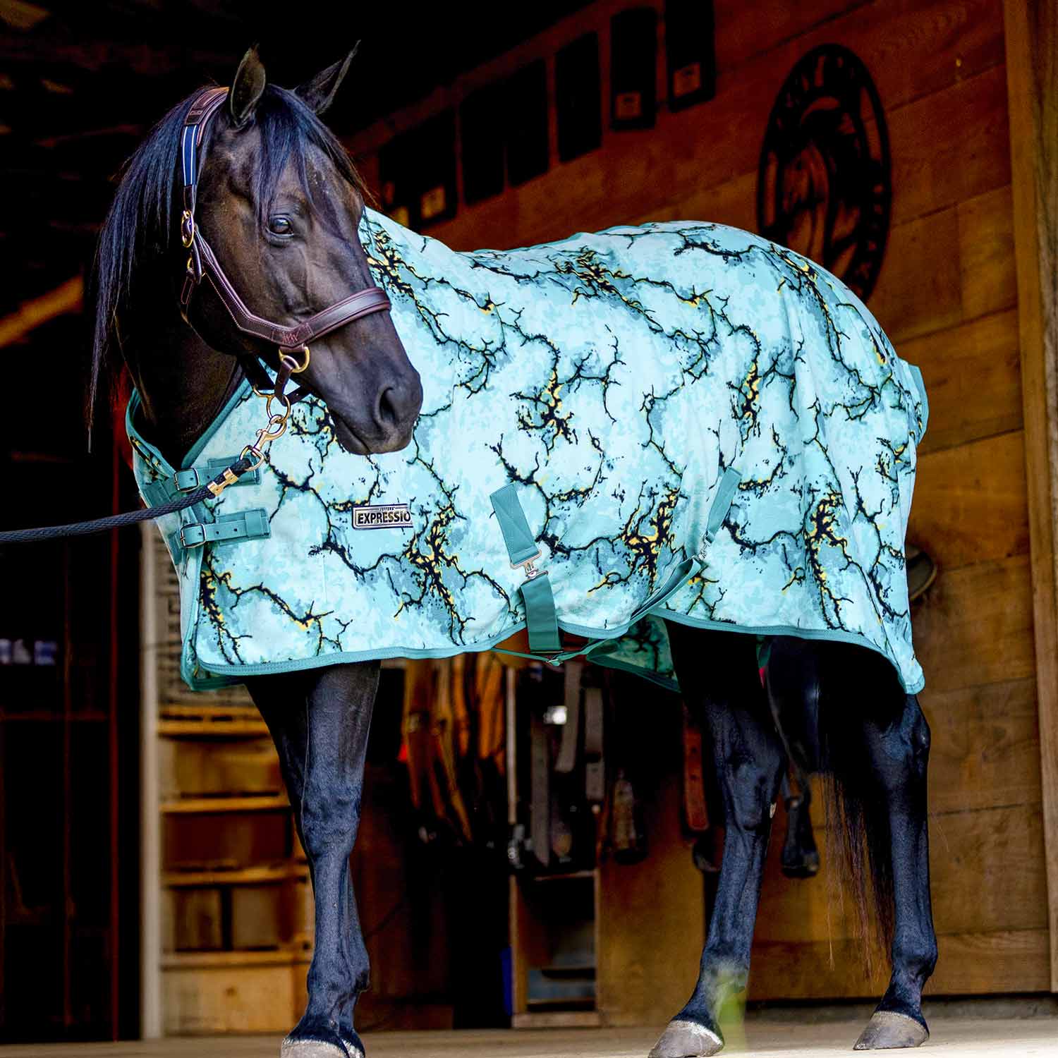 Image of Jeffers Expression Standard Neck Fleece Horse Cooler