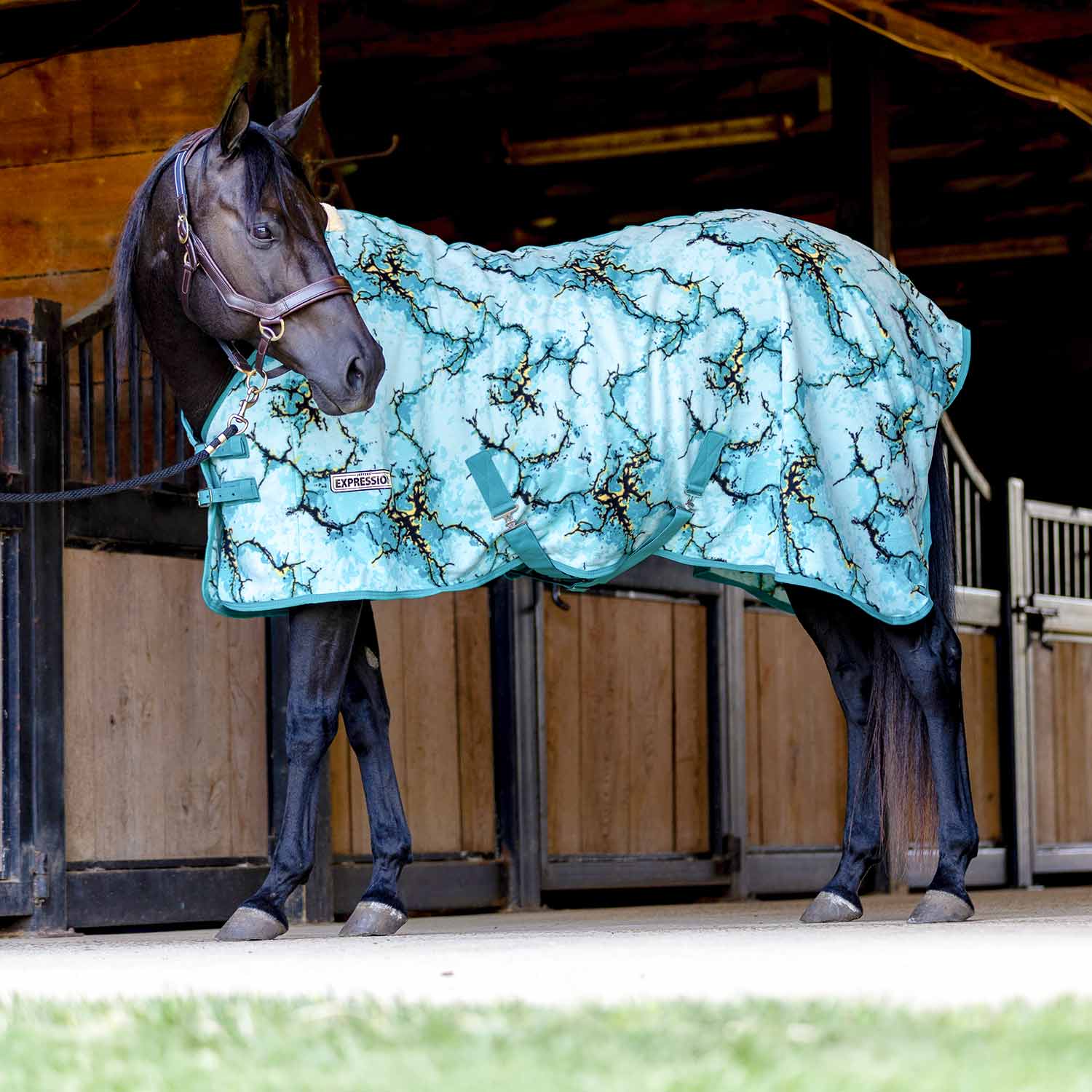Image of Jeffers Expression Standard Neck Fleece Horse Cooler