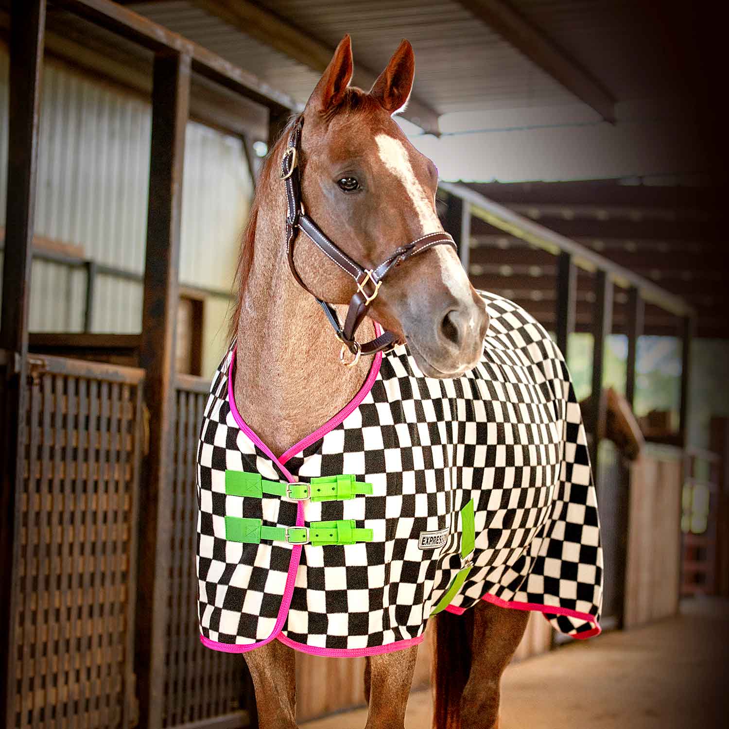Image of Jeffers Expression Standard Neck Fleece Horse Cooler
