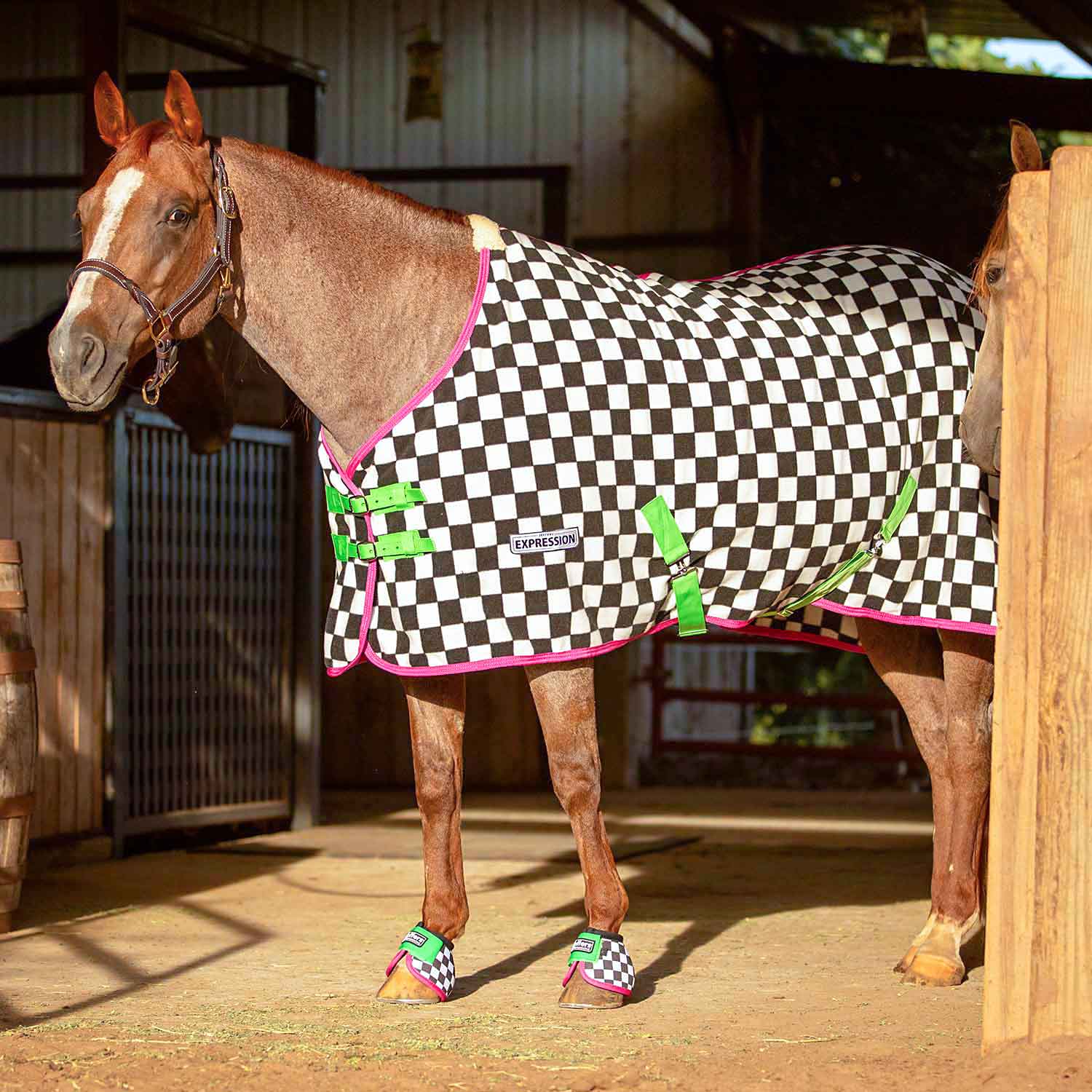 Image of Jeffers Expression Standard Neck Fleece Horse Cooler