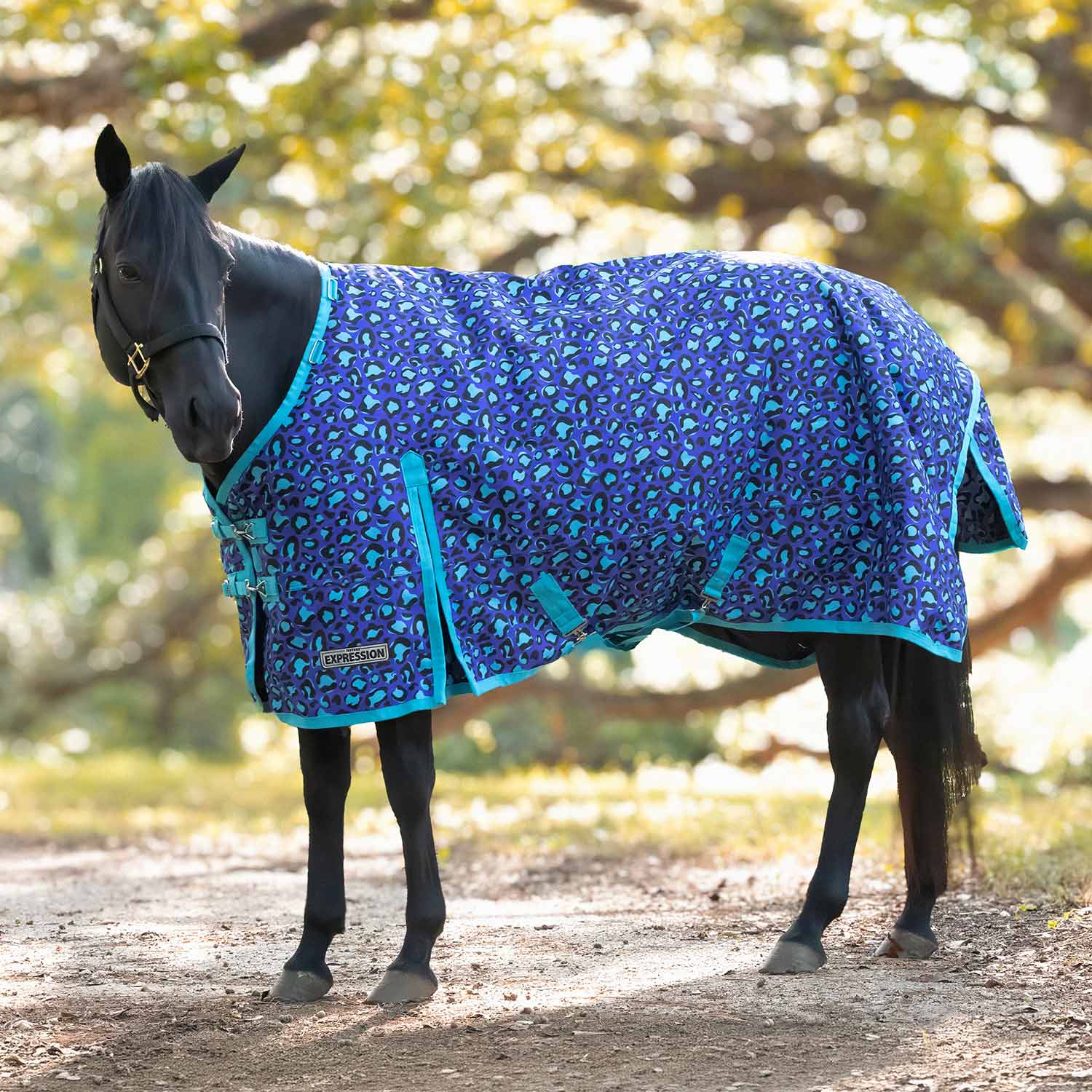 Image of Jeffers Expression 1200 Denier Standard Neck Horse Turnout Sheet, 0 Gram