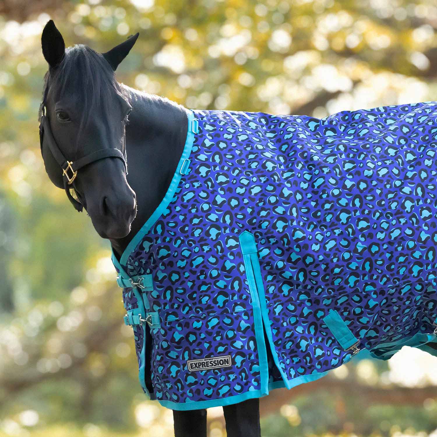 Image of Jeffers Expression 1200 Denier Standard Neck Horse Turnout Sheet, 0 Gram