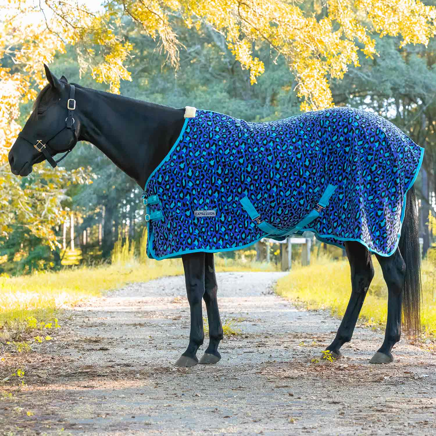Image of Jeffers Expression Standard Neck Fleece Horse Cooler