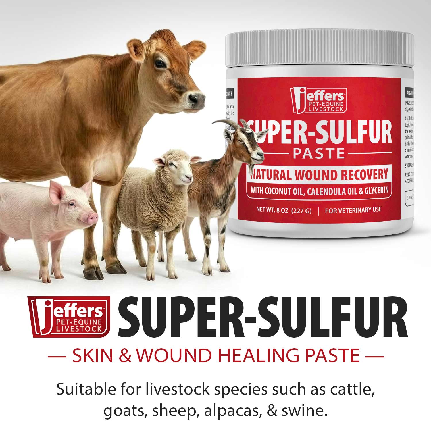 Image of Jeffers Super-Sulfur Skin & Wound Healing Paste for Pets, Horses, & Livestock