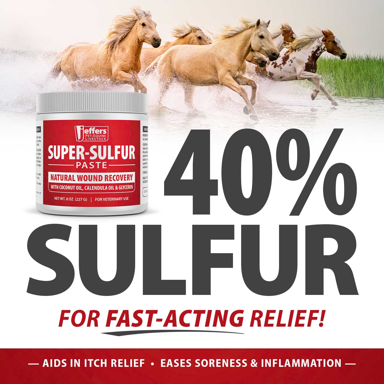 Image of Jeffers Super-Sulfur Skin & Wound Healing Paste for Pets, Horses, & Livestock