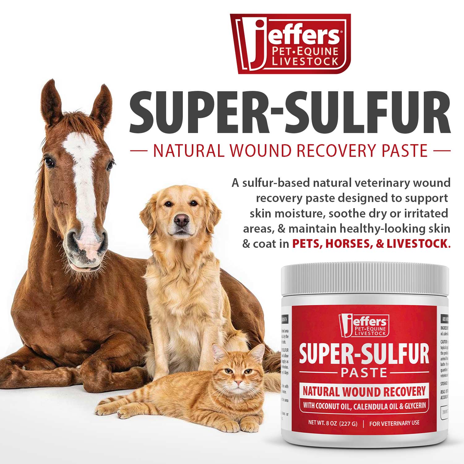 Image of Jeffers Super-Sulfur Skin & Wound Healing Paste for Pets, Horses, & Livestock