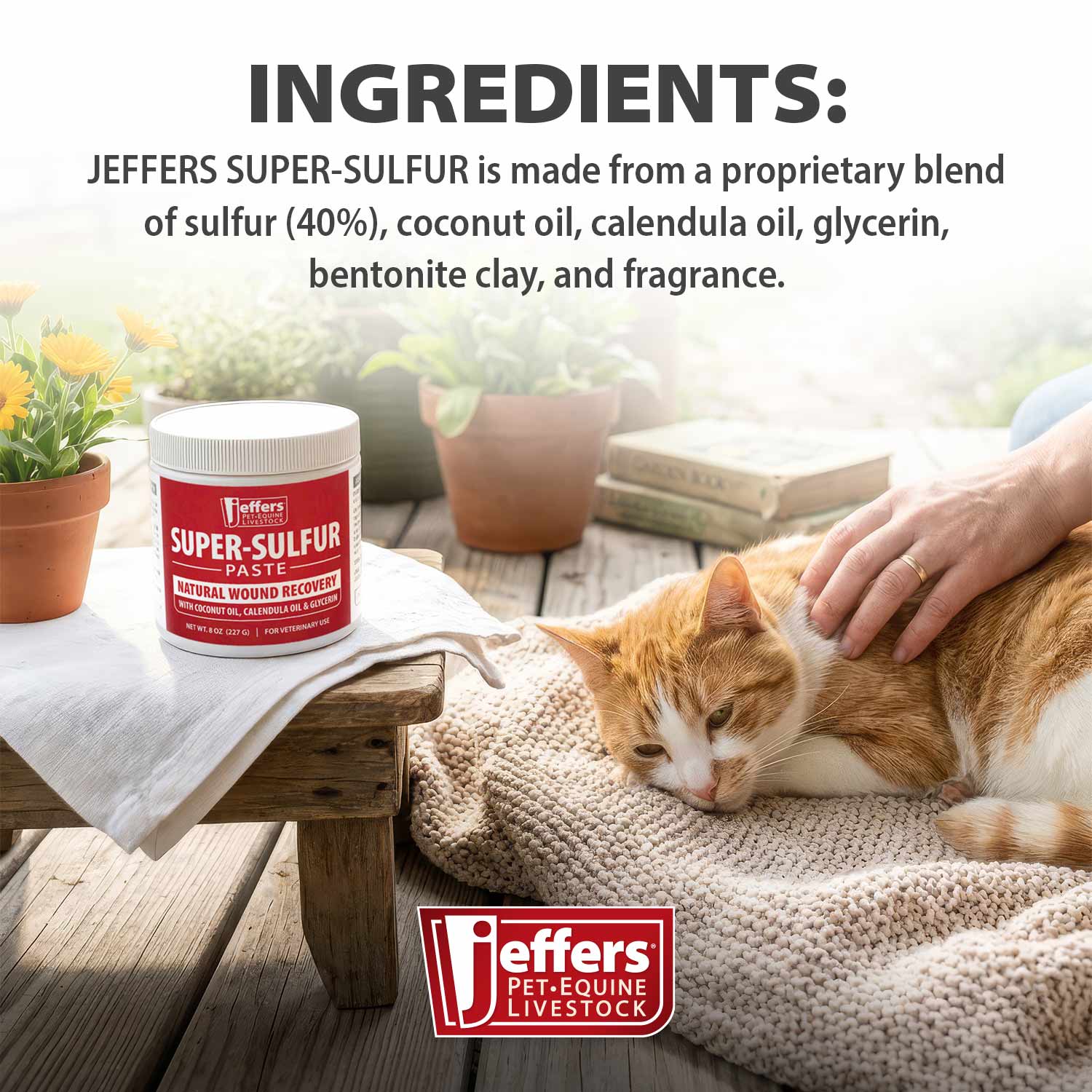 Image of Jeffers Super-Sulfur Skin & Wound Healing Paste for Pets, Horses, & Livestock