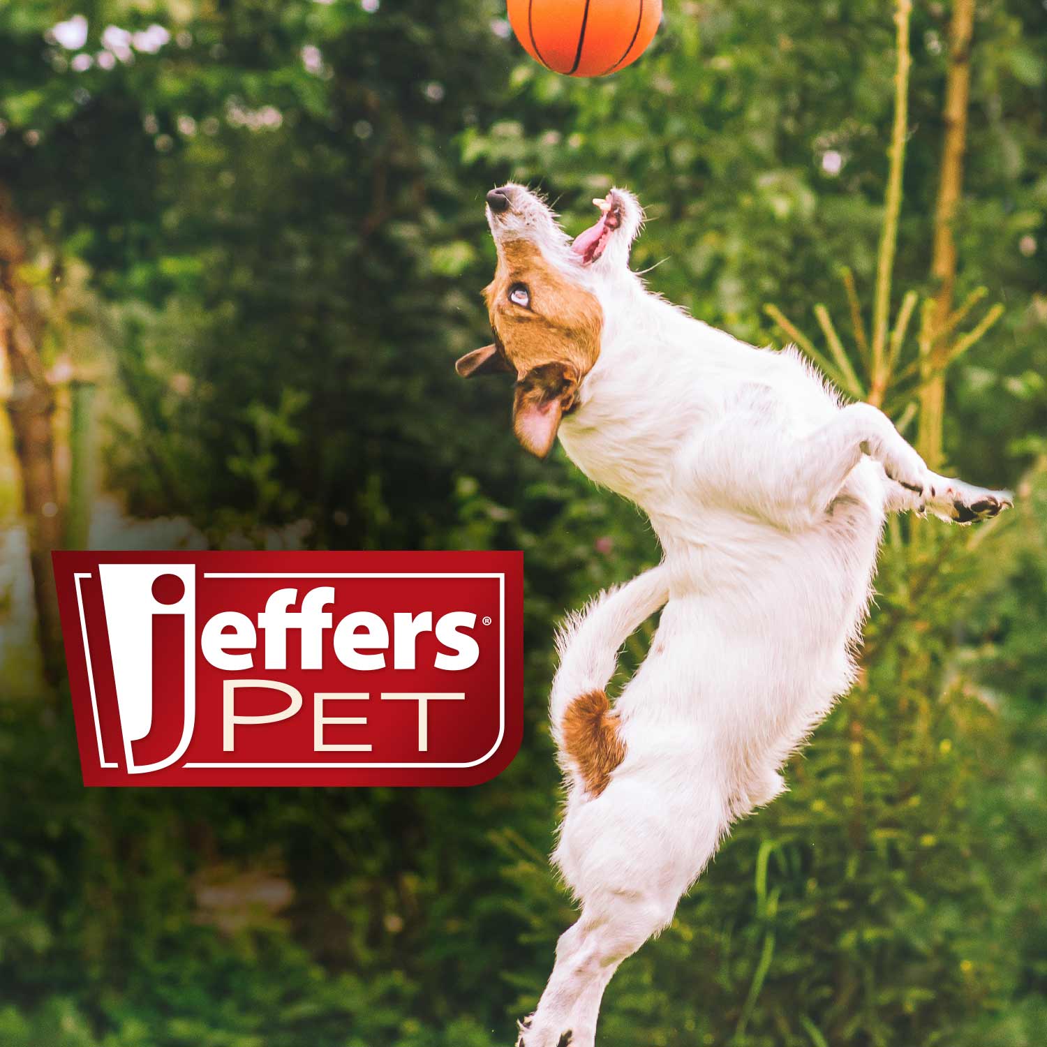 Image of Jeffers Animal Fuzzies Plush Squeaker Dog Toys