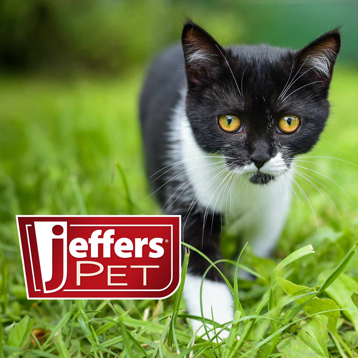 Image of Jeffers Pet Nail File for Dog and Cat Nail Grooming, 7