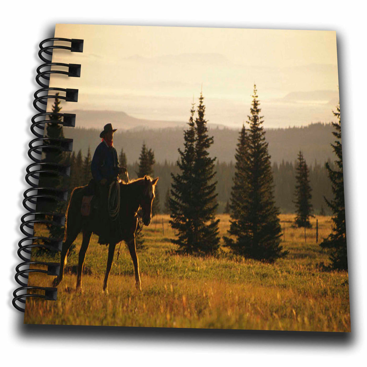 3dRose TDSwhite – Horse Equine Photos - Western Horse Under Saddle - Drawing Book
