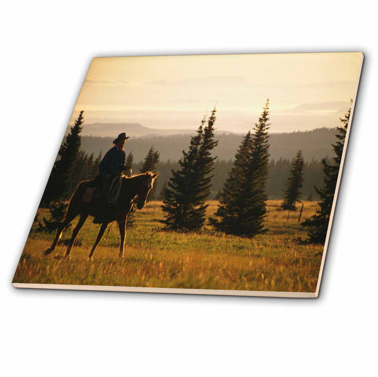 Image of 3dRose TDSwhite – Horse Equine Photos - Western Horse Under Saddle - Tiles