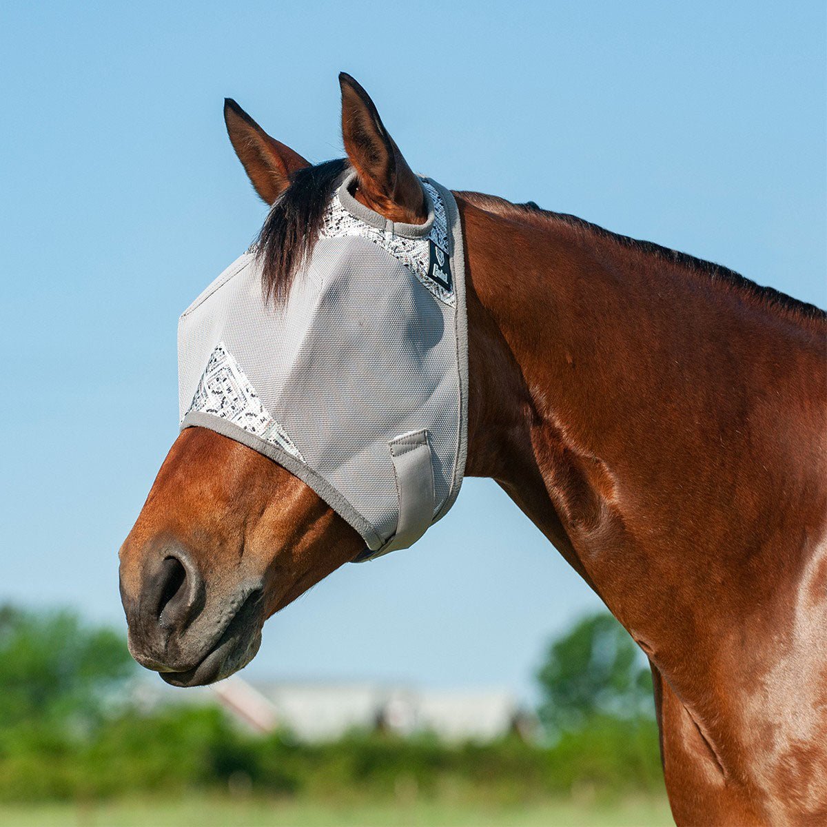 Image of Cashel Crusader Fly Mask for Horses with Forelock Hole and UV Sun Block