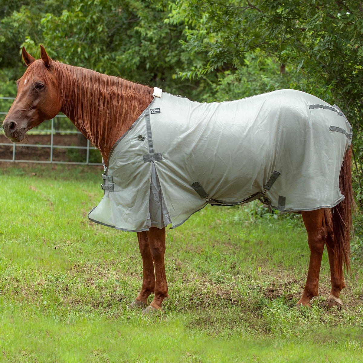 Image of Cashel Economy Standard Neck Fly Sheet for Horses - Lightweight, UV & Insect Protection