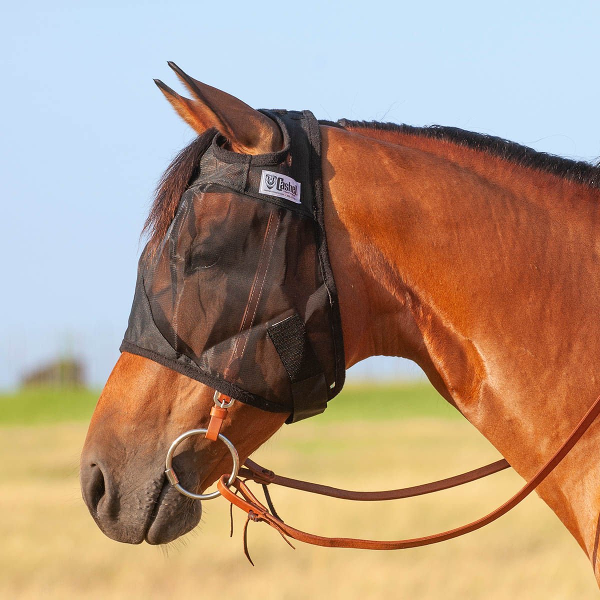 Image of Cashel Quiet Ride Horse Fly Mask for Insect Control & Protection
