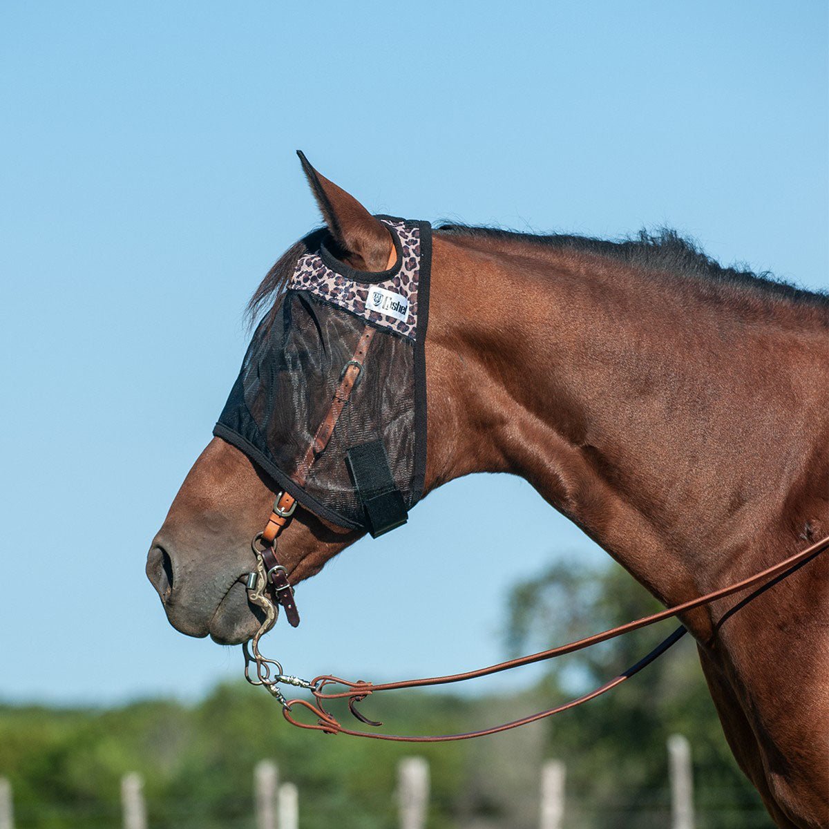 Image of Cashel Quiet Ride Horse Fly Mask for Insect Control & Protection