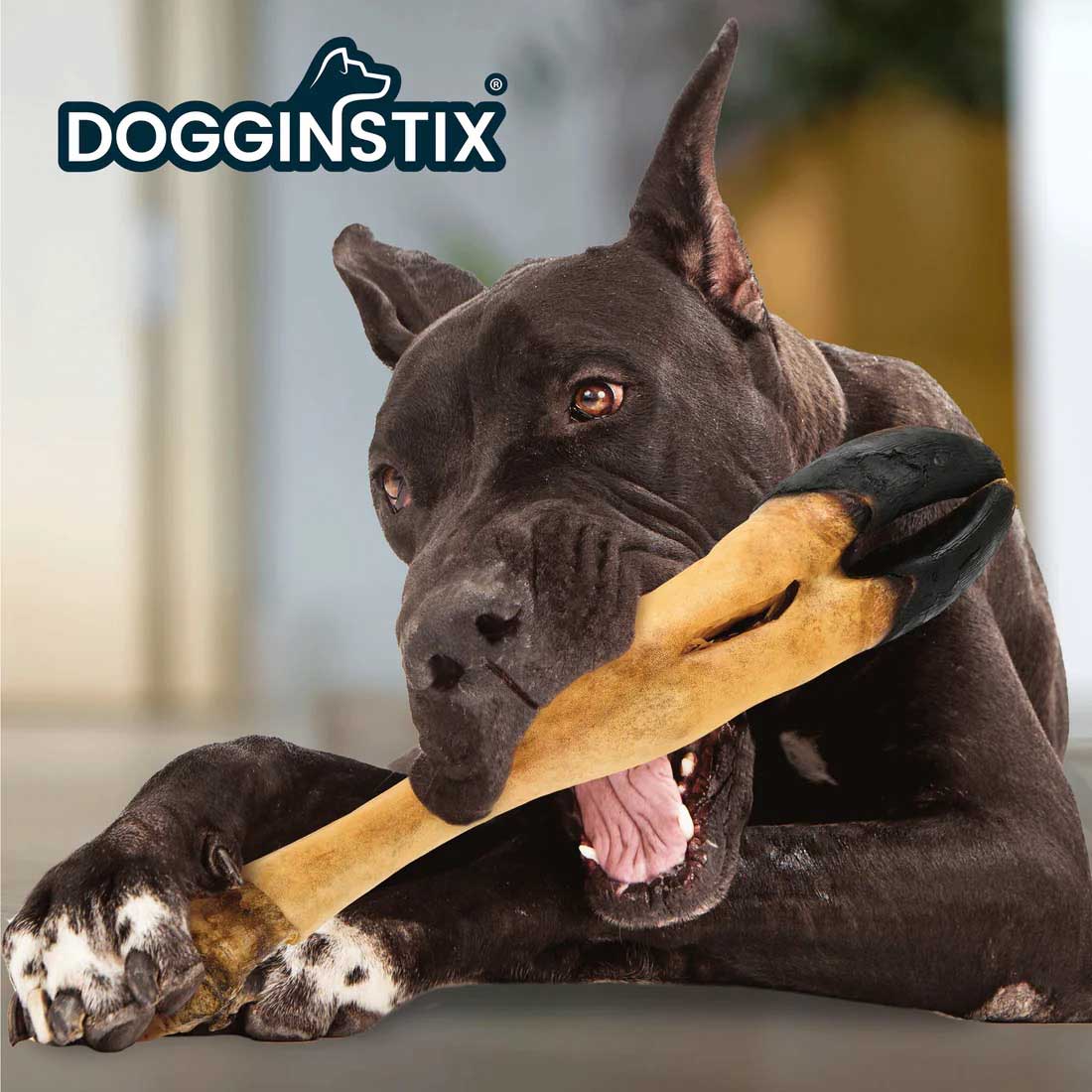 Image of Dogginstix Beef Foot Dog Chew – Four Treats in One, Ideal for Small to Medium Dogs