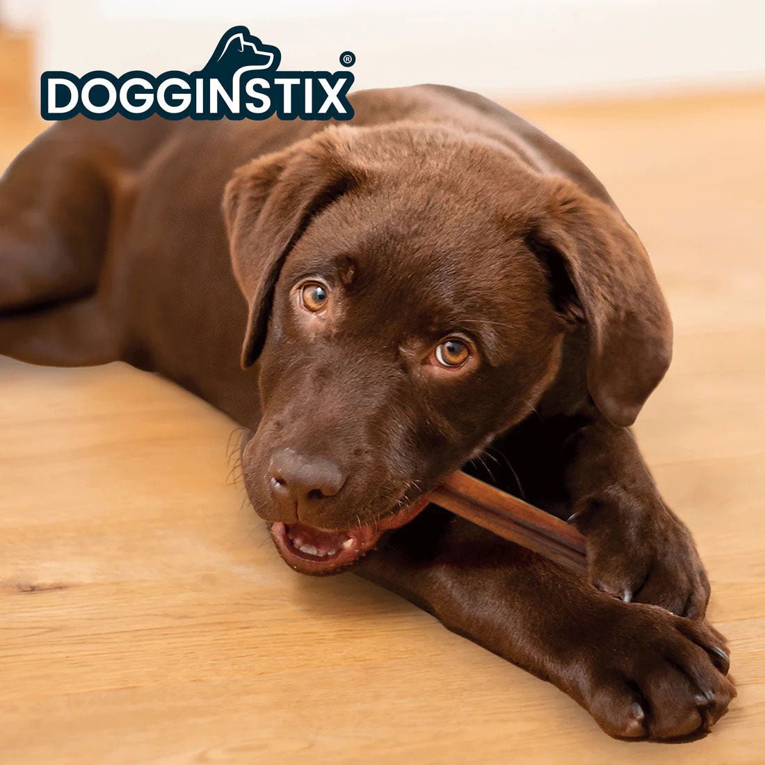 Image of Dogginstix Bully Stick Dog Chew, All-Natural, Grass-Fed Beef, Odor-Free