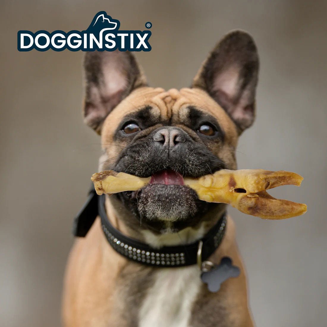 Image of Dogginstix Lamb Foot Chew Dog Treat – Four Treats in One, Ideal for Small to Medium Dogs