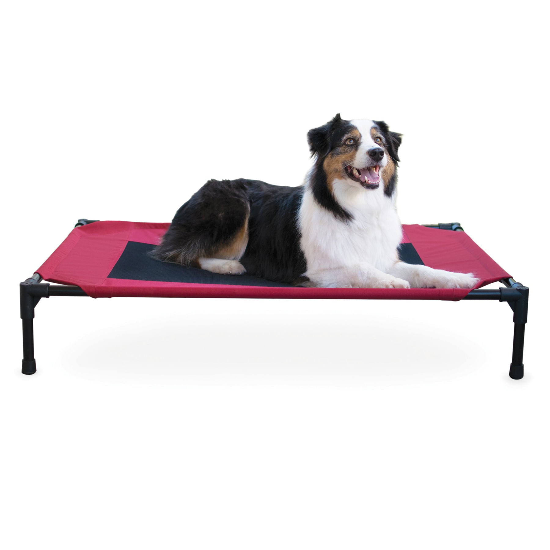Image of K&H Elevated Dog Bed, Small to X-Large