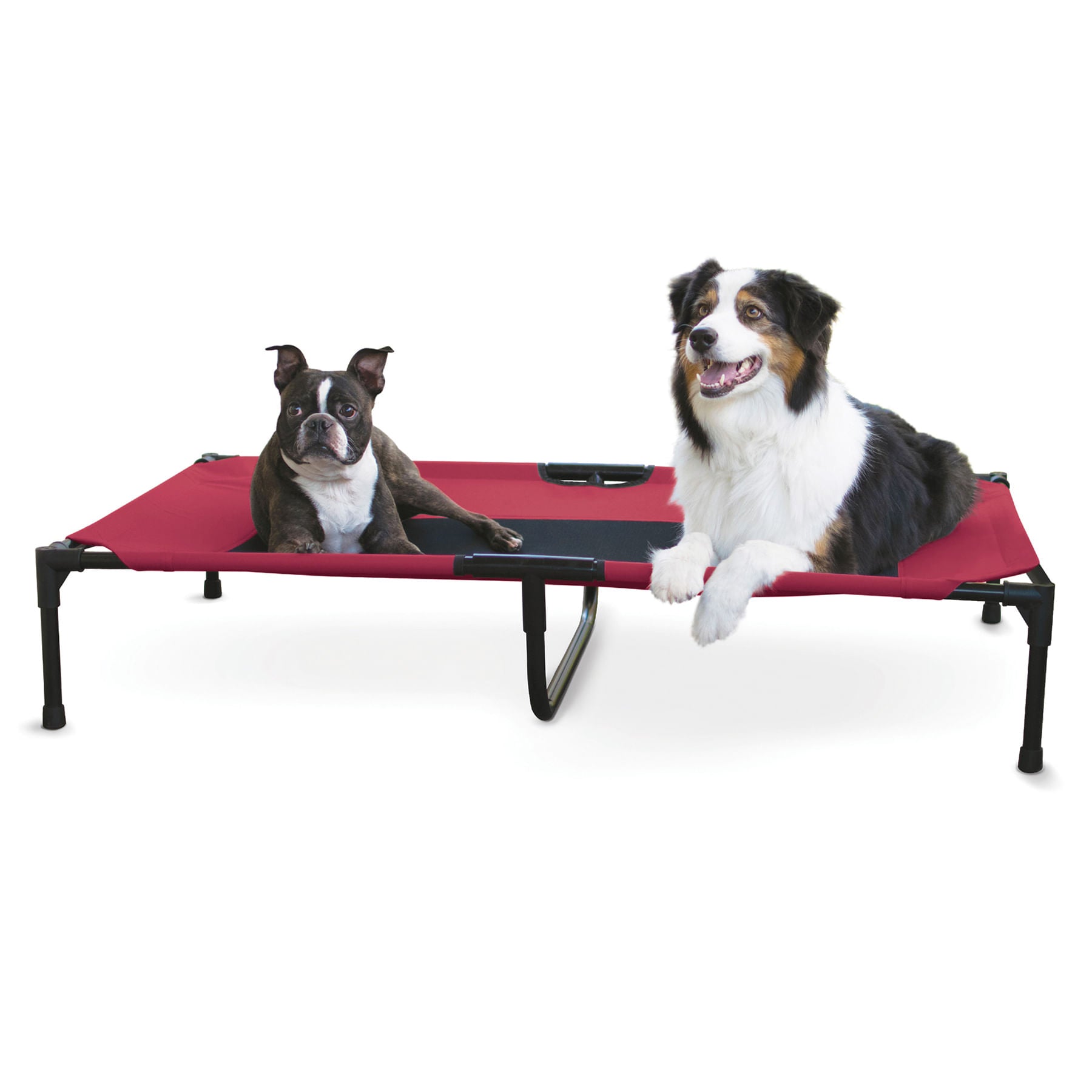 Image of K&H Elevated Dog Bed, Small to X-Large