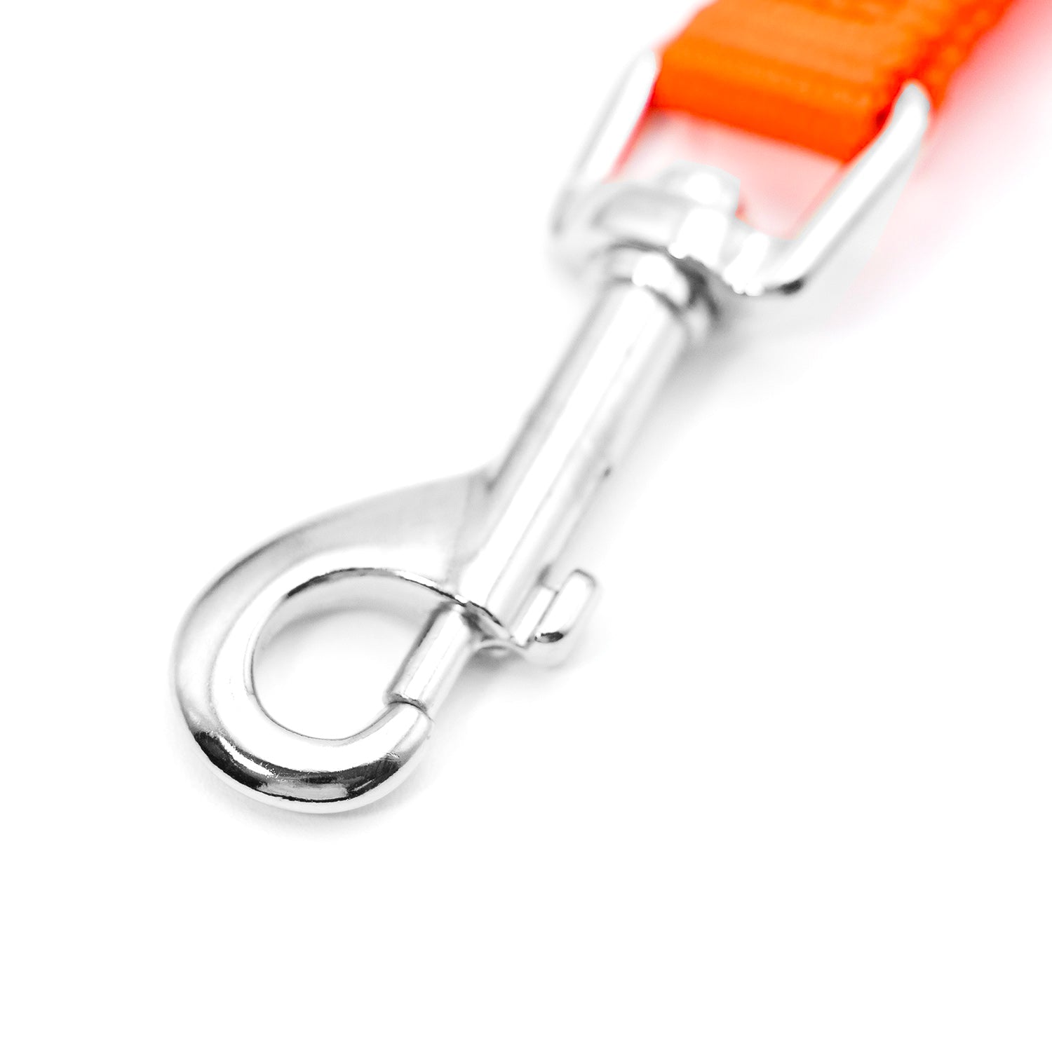 Image of Jeffers 1-Ply Web Nylon Dog Leashes