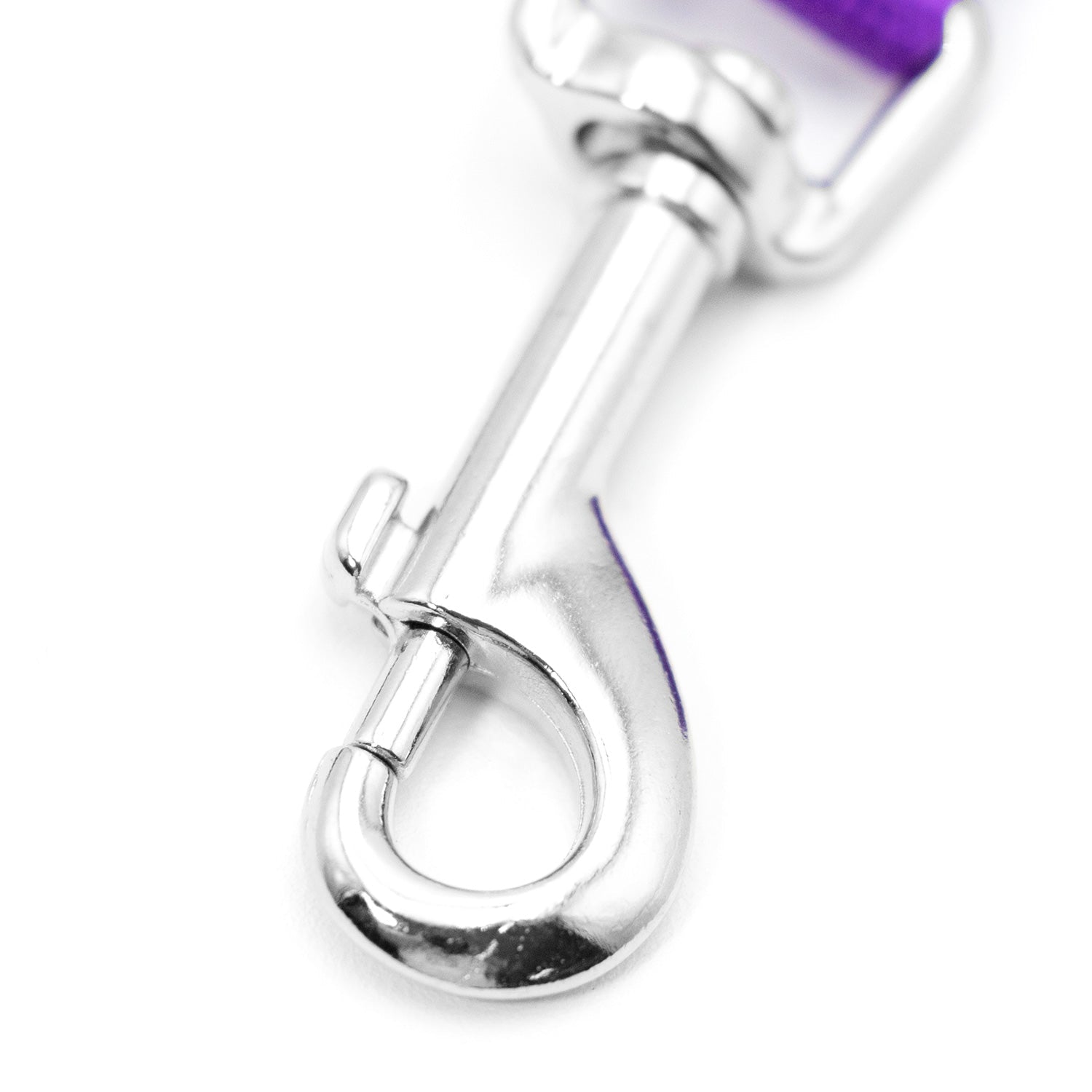 Image of Jeffers 1-Ply Web Nylon Dog Leashes