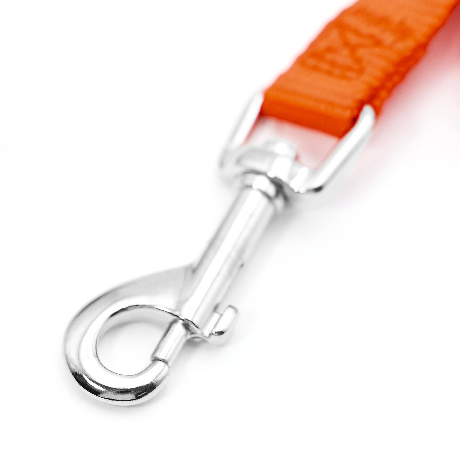 Image of Jeffers 1-Ply Web Nylon Dog Leashes