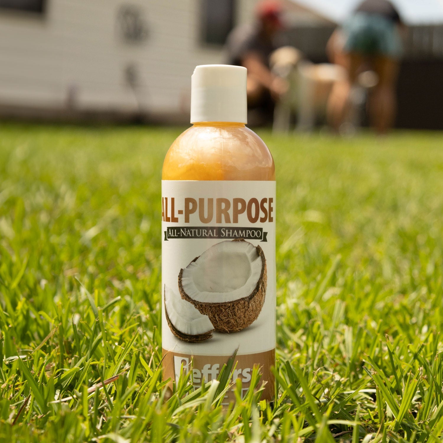 Image of Jeffers Pet Tearless All-Purpose All-Natural Coconut Oil Shampoo for Dogs & Cats