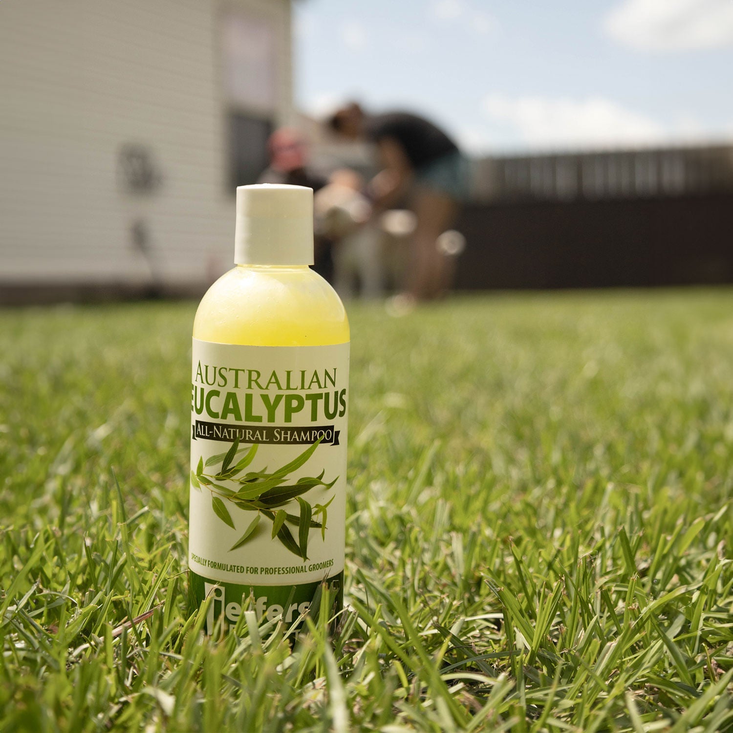 Image of Jeffers Australian Eucalyptus All-Natural Dog Shampoo - Aids in Repelling Fleas, Ticks, Flies & Mosquitos