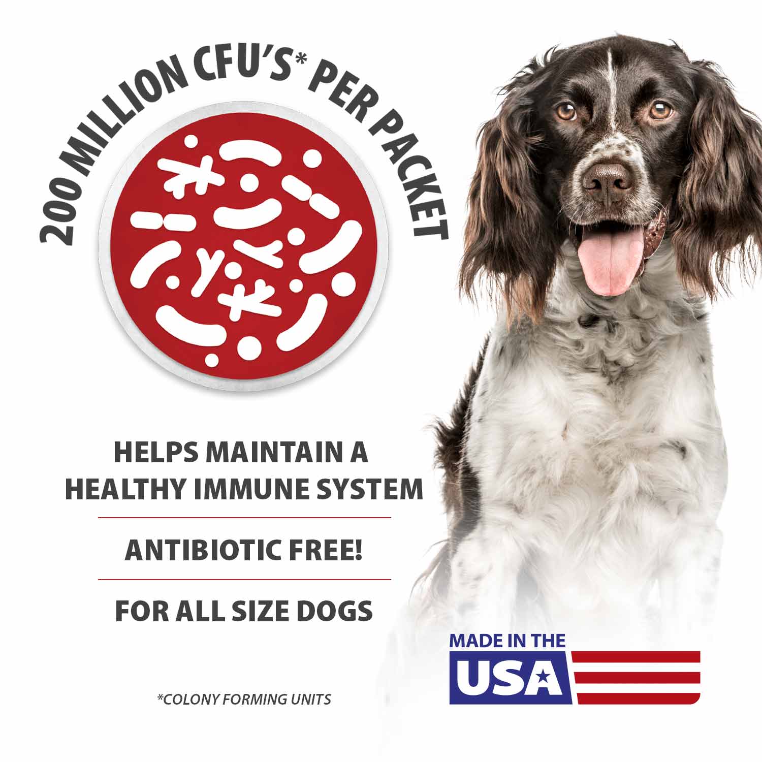 Image of Jeffers BELLY BUDDY Probiotic Supplement Powder for Dogs – Multi-Strain Digestive & Immune Support