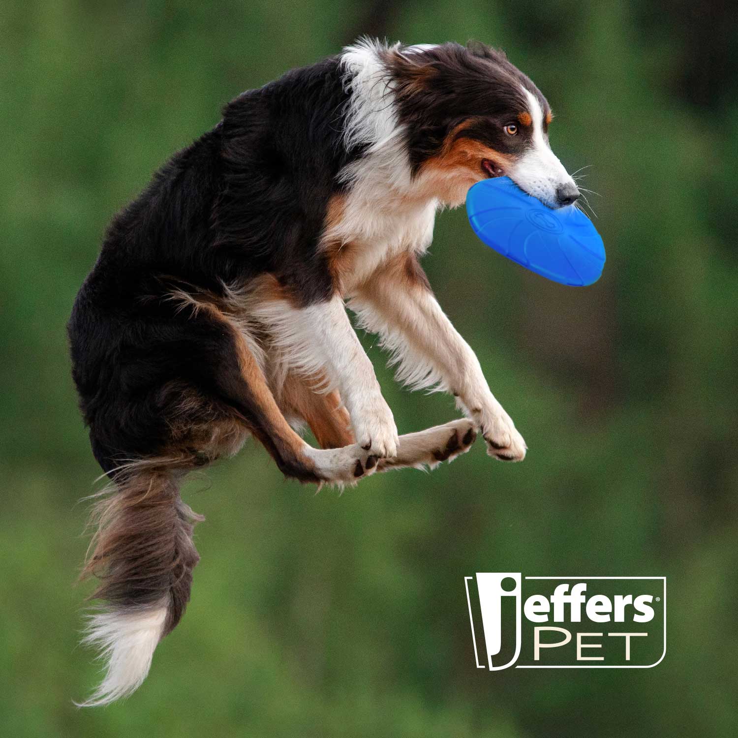 Image of Jeffers Blue Bone Stamped Frisbee Natural Rubber 8 Inch Dog Toy for Fetching & Chewing
