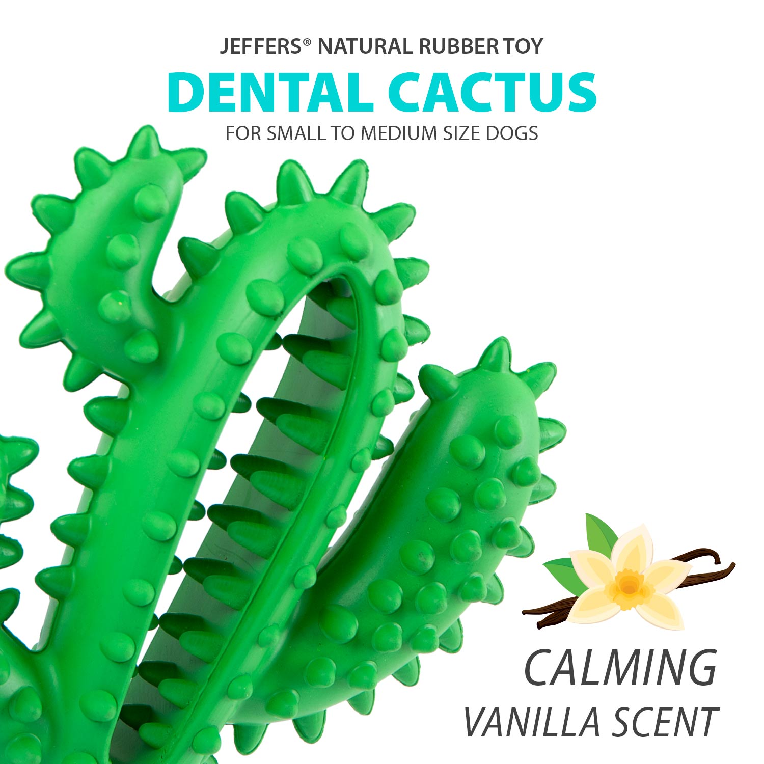 Image of Jeffers Cactus Natural Rubber Dental Chew Toy for Dogs for Healthy Chewing Habits