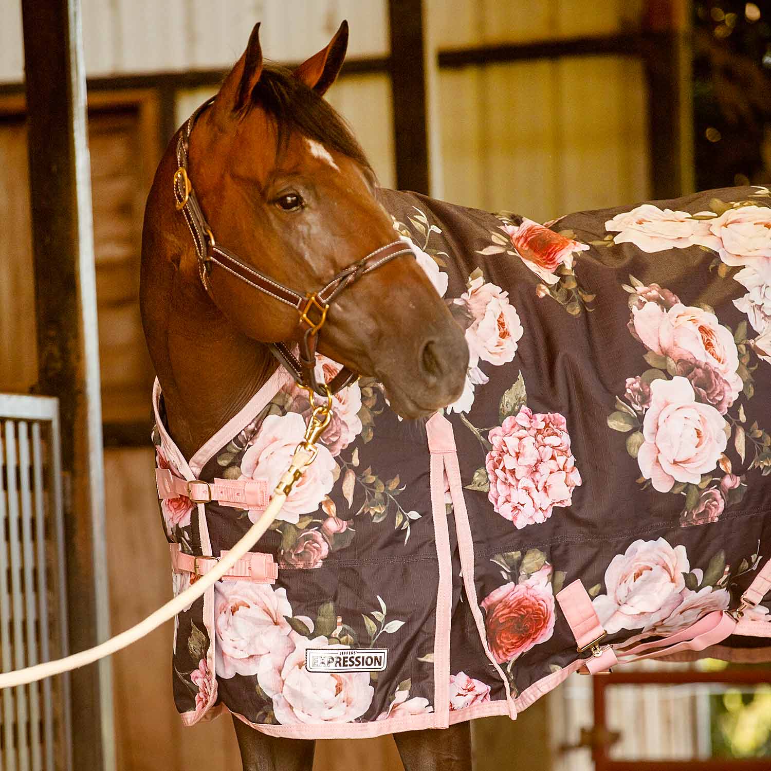 Image of Jeffers Expression 1200 Denier Standard Neck Horse Turnout Sheet, 0 Gram