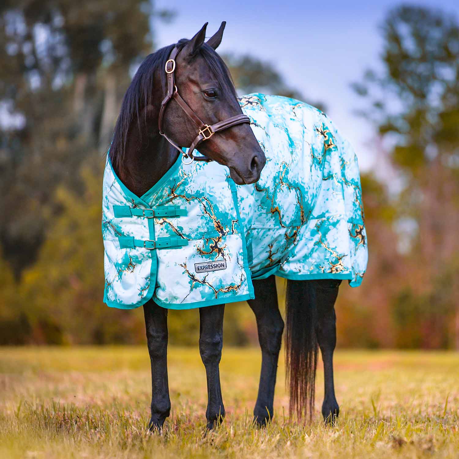 Image of Jeffers Expression 1200 Denier Standard Neck Horse Turnout Sheet, 0 Gram