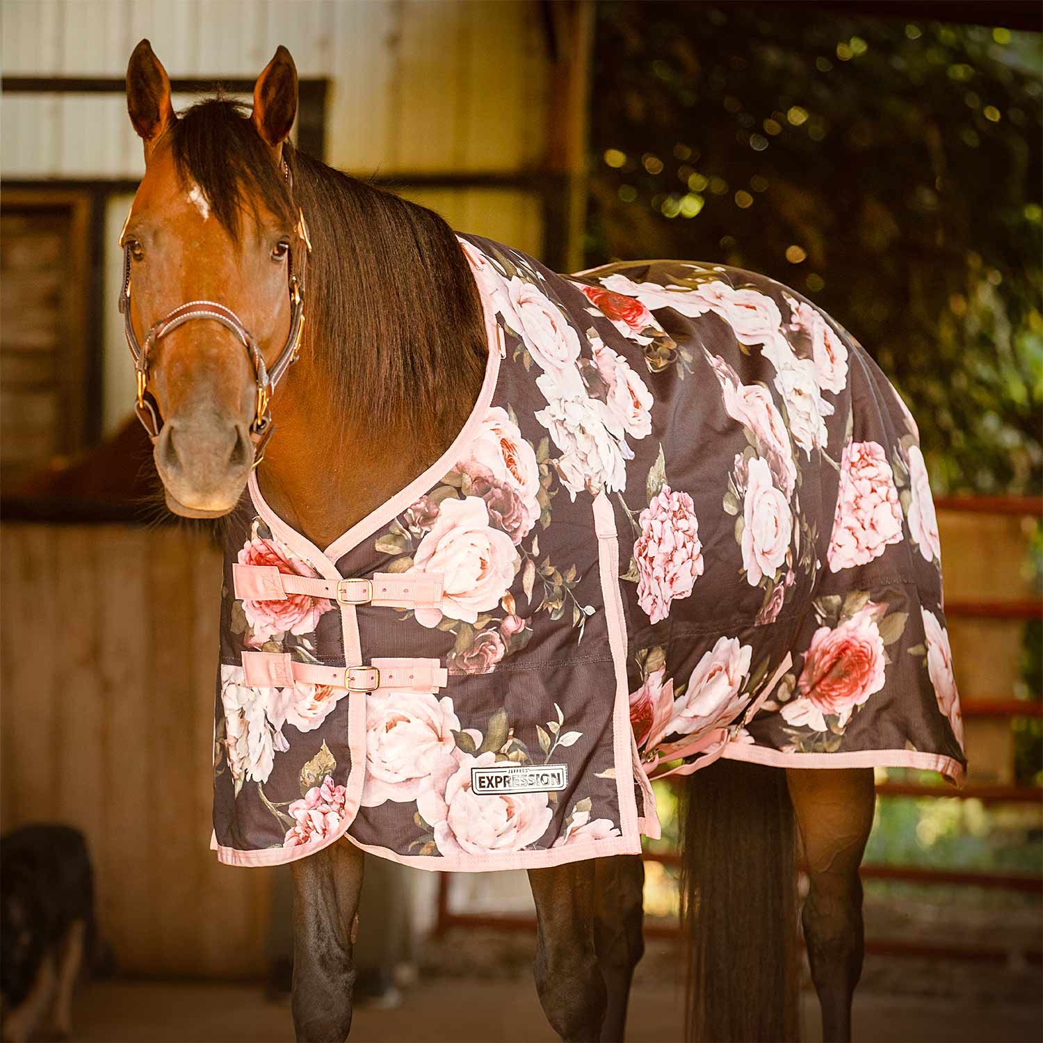 Image of Jeffers Expression 1200 Denier Standard Neck Horse Turnout Sheet, 0 Gram