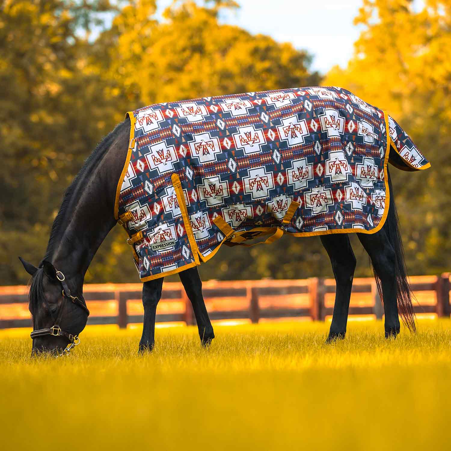Image of Jeffers Expression 1200 Denier Standard Neck Horse Turnout Sheet, 0 Gram