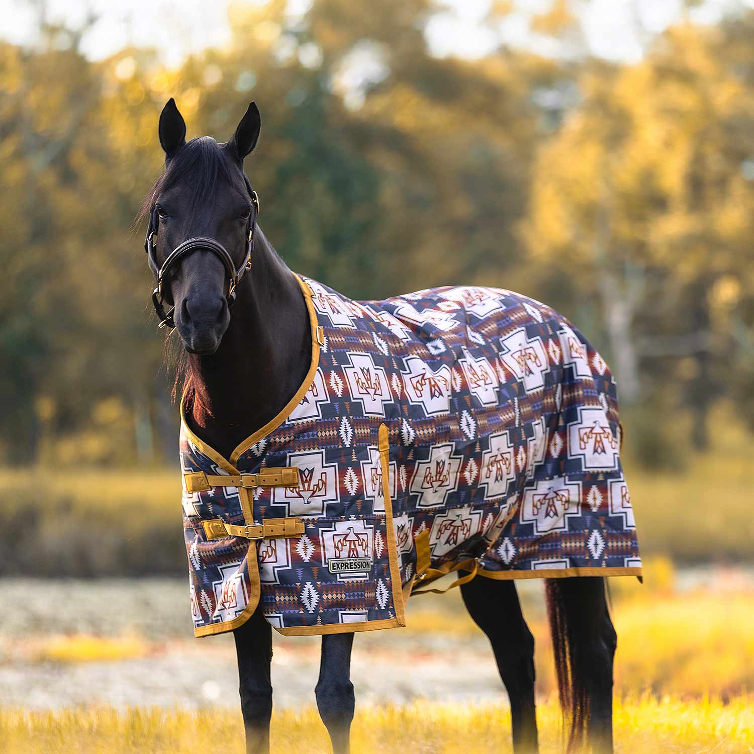 Image of Jeffers Expression 1200 Denier Standard Neck Horse Turnout Sheet, 0 Gram