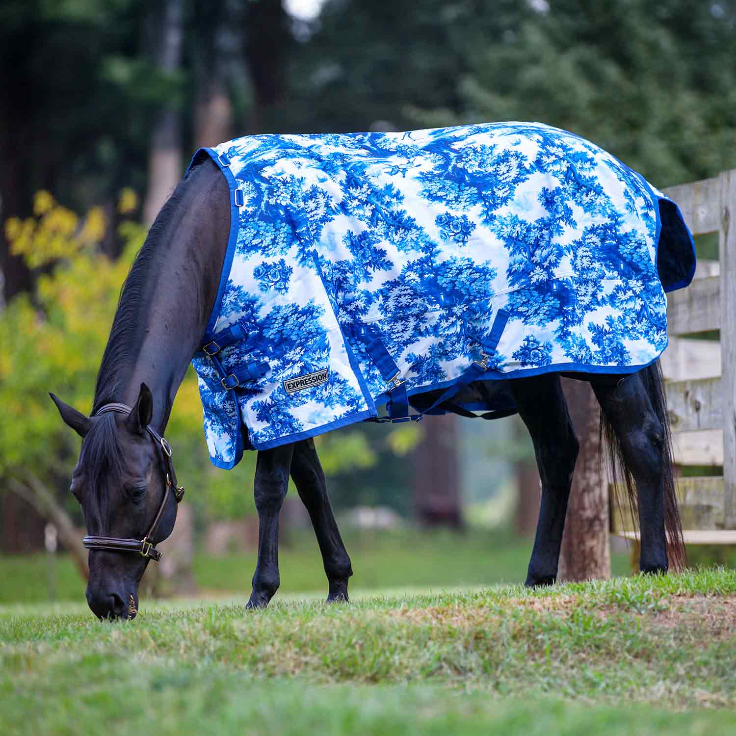 Image of Jeffers Expression 1200 Denier Standard Neck Horse Turnout Sheet, 0 Gram