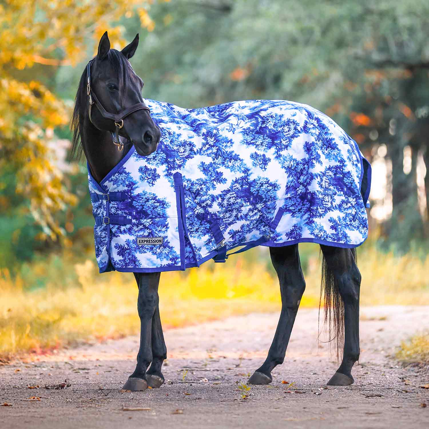 Image of Jeffers Expression 1200 Denier Standard Neck Horse Turnout Sheet, 0 Gram