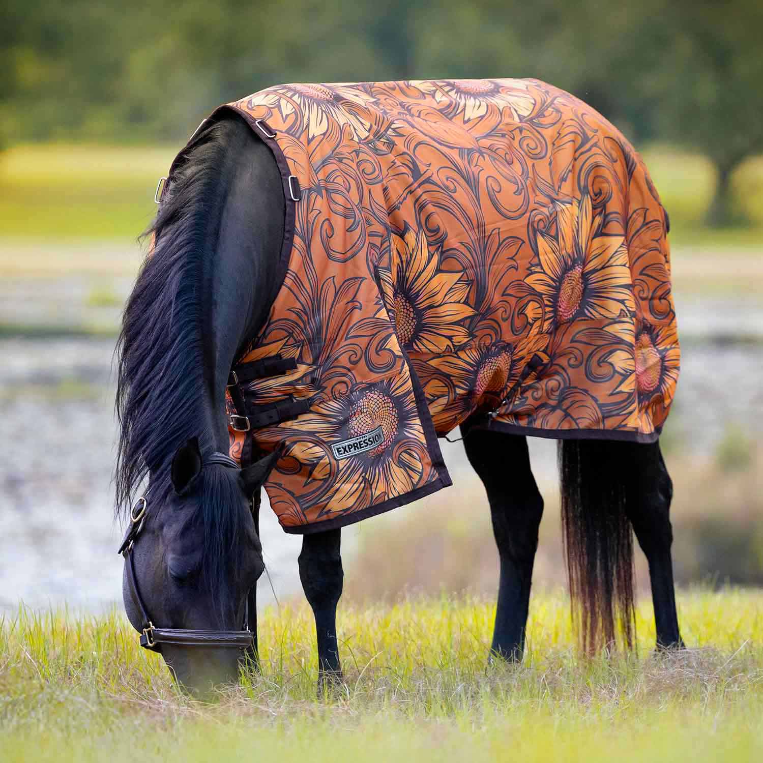 Image of Jeffers Expression 1200 Denier Standard Neck Horse Turnout Sheet, 0 Gram