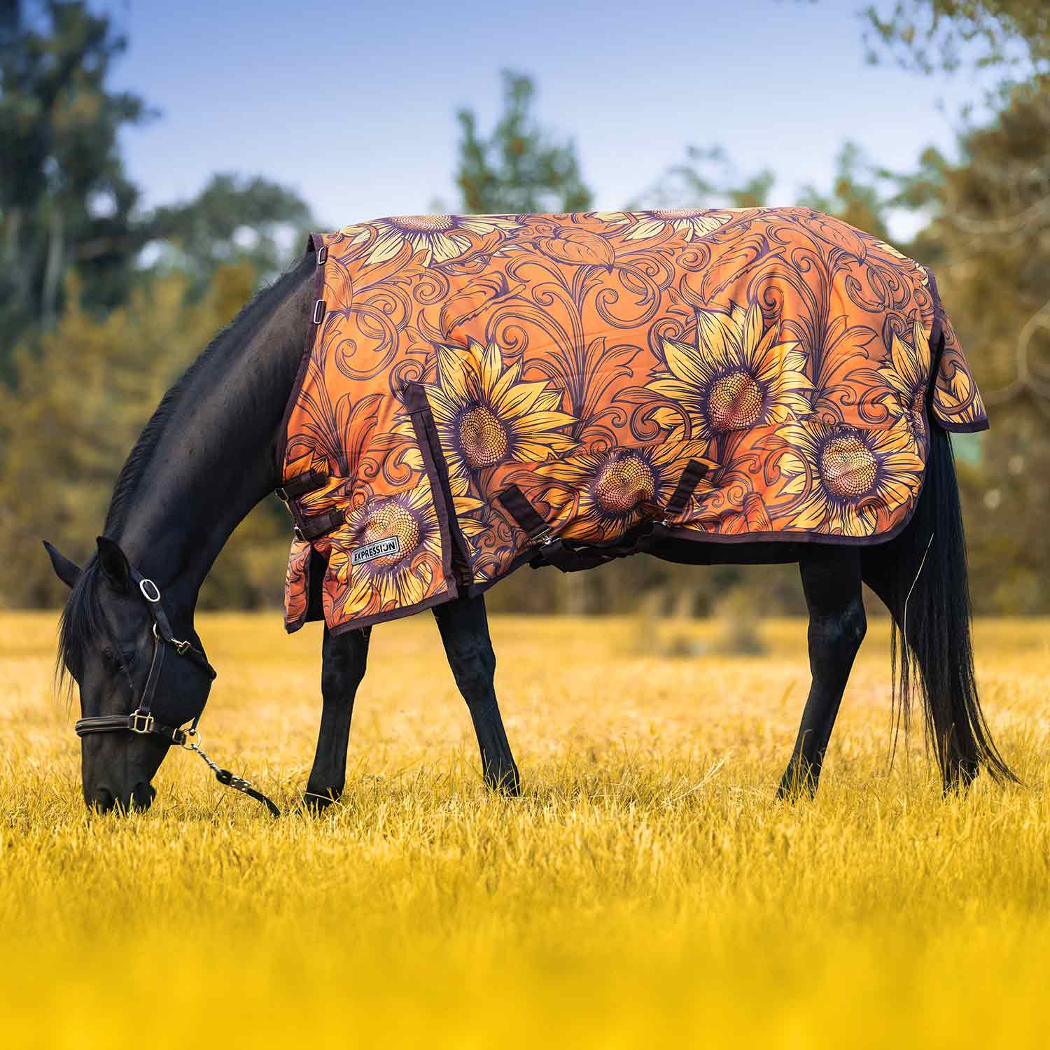 Image of Jeffers Expression 1200 Denier Standard Neck Horse Turnout Sheet, 0 Gram