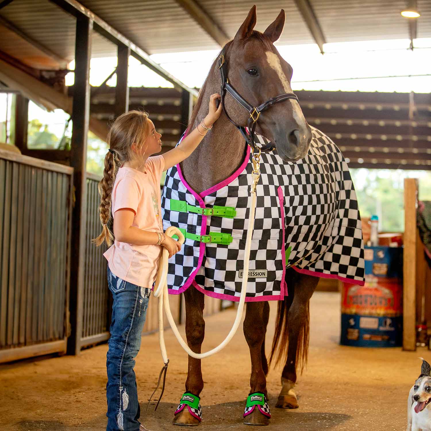 Image of Jeffers Expression 1200 Denier Standard Neck Horse Turnout Sheet, 0 Gram