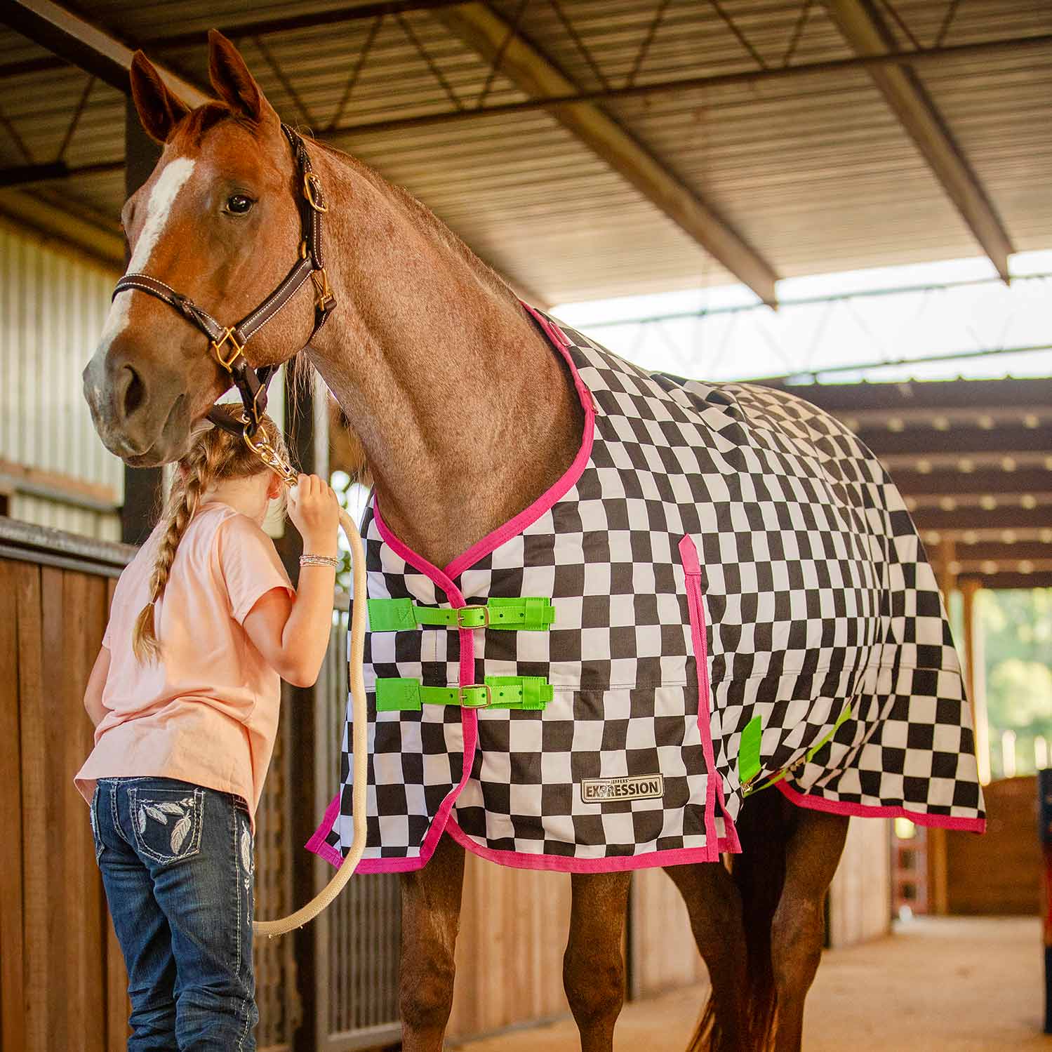 Image of Jeffers Expression 1200 Denier Standard Neck Horse Turnout Sheet, 0 Gram