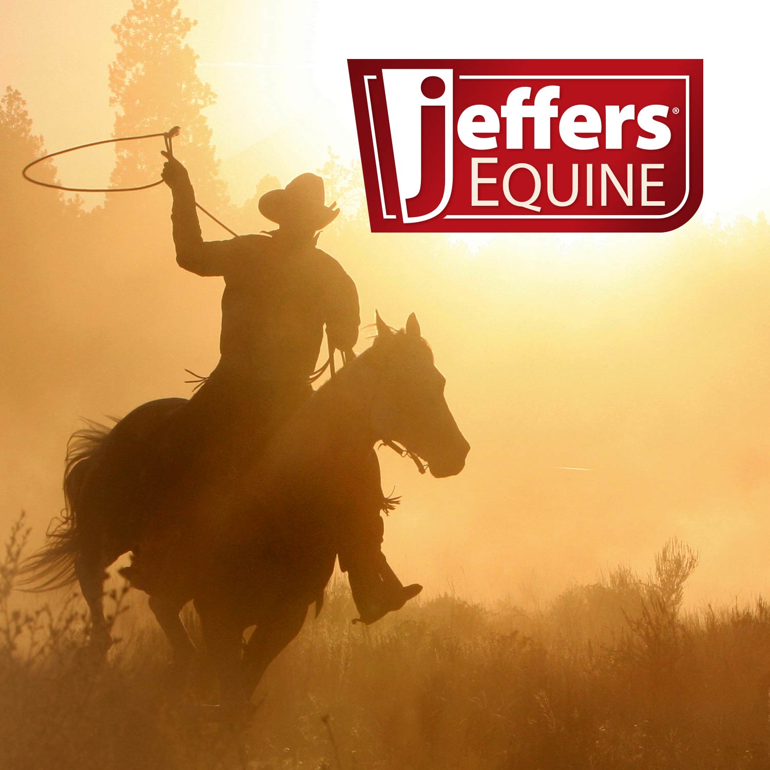 Image of Jeffers Equine Menthol Cooling Shampoo for Horses