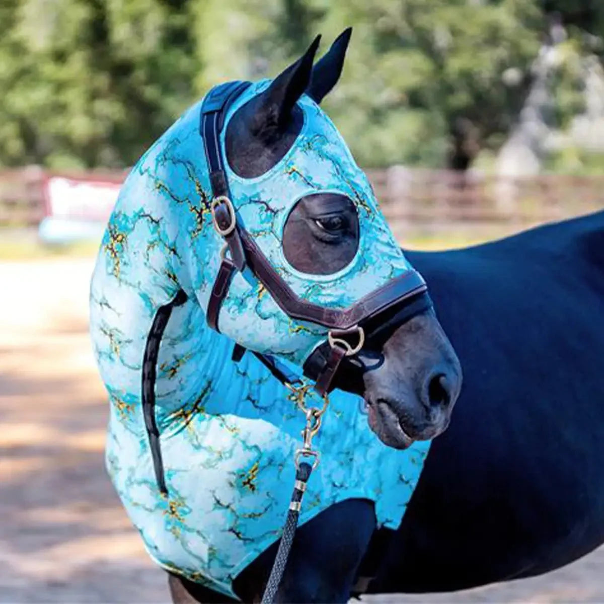Jeffers Expression Lycra Hood for Horses
