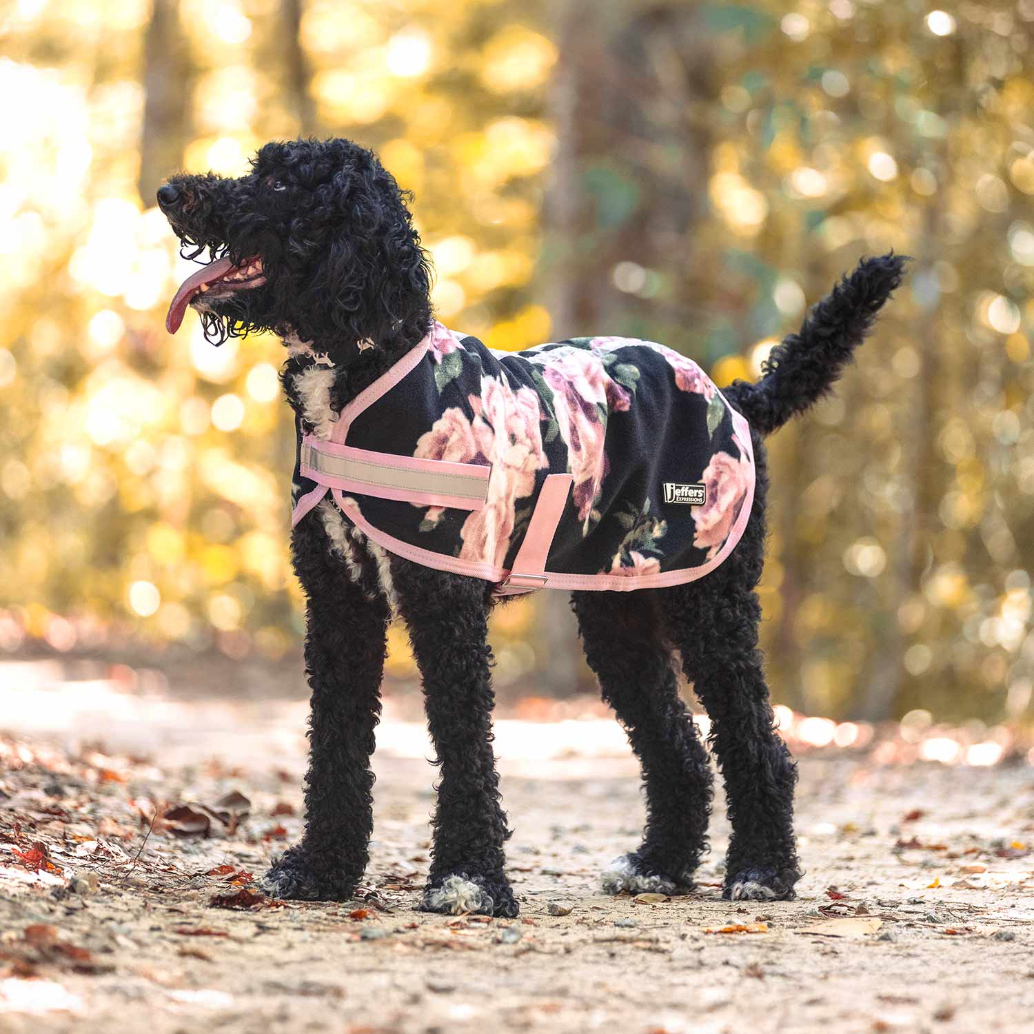 Image of Jeffers Expression Moisture-Wicking Fleece Dog Coat