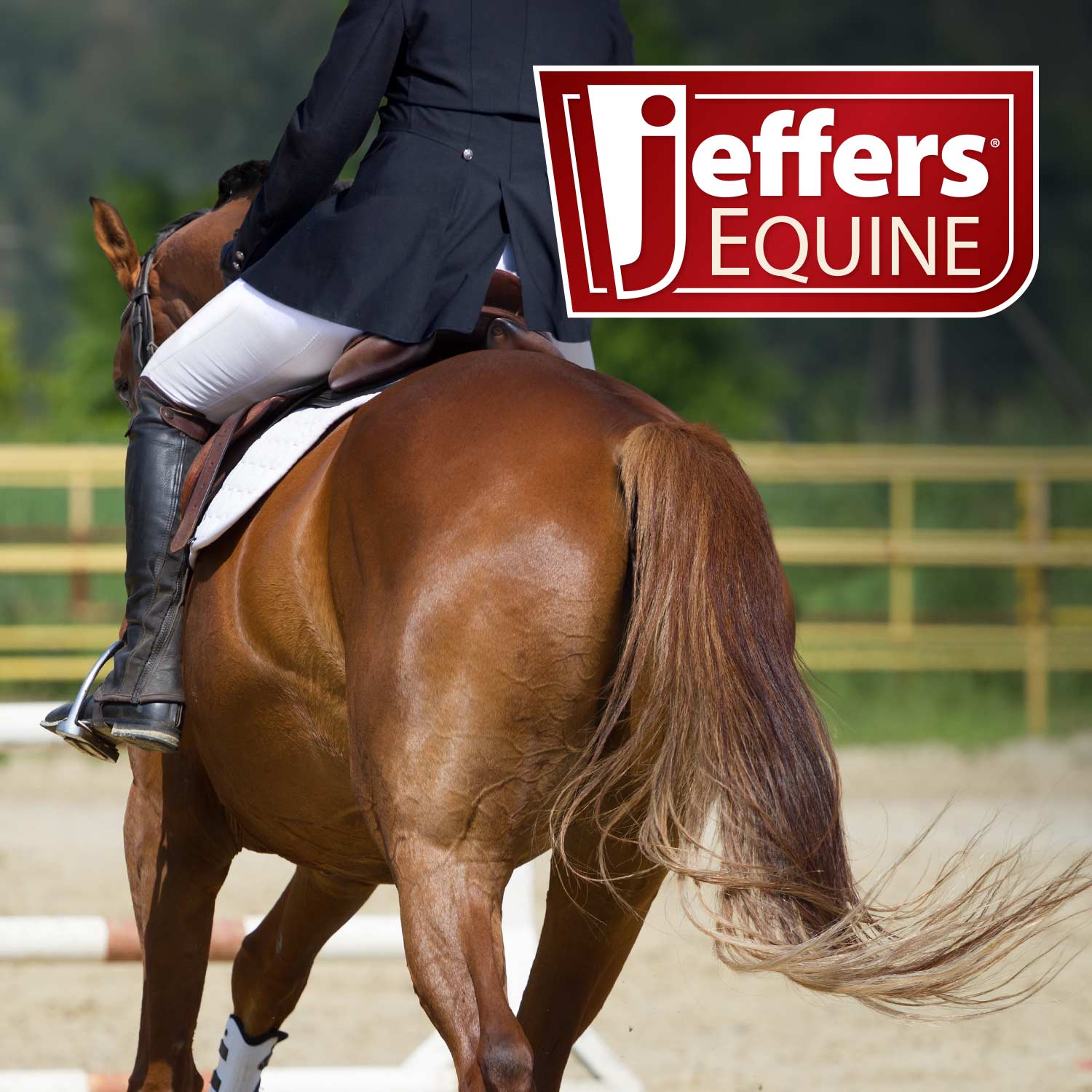 Image of Jeffers Expression Softmesh Combo Neck Horse Fly Sheet