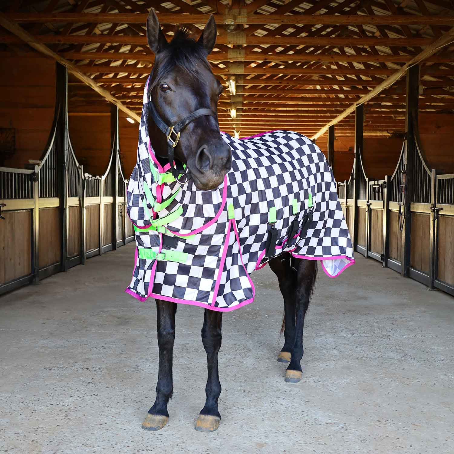 Image of Jeffers Expression Softmesh Combo Neck Horse Fly Sheet