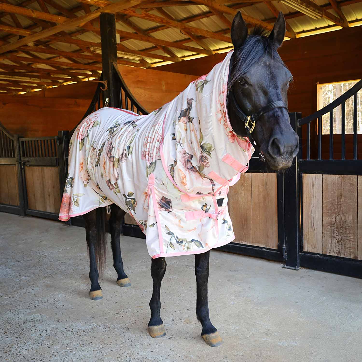 Image of Jeffers Expression Softmesh Combo Neck Horse Fly Sheet
