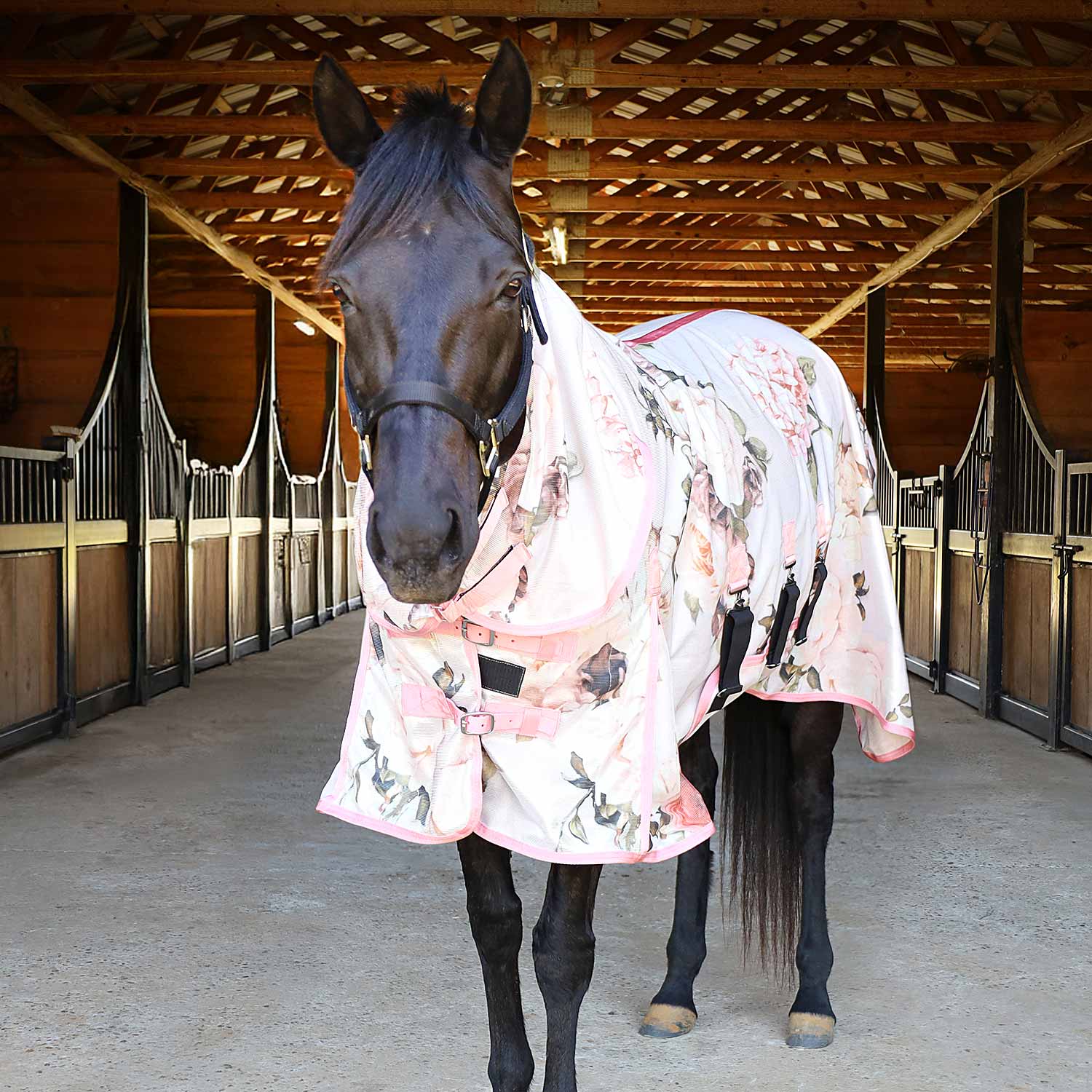 Image of Jeffers Expression Softmesh Combo Neck Horse Fly Sheet